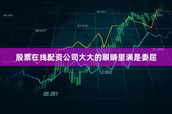 股票在线配资公司大大的眼睛里满是委屈