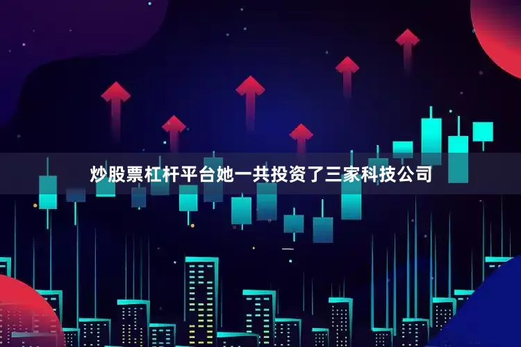 炒股票杠杆平台她一共投资了三家科技公司