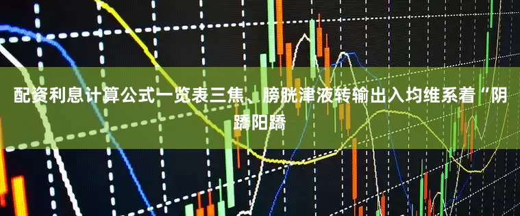 配资利息计算公式一览表三焦、膀胱津液转输出入均维系着“阴蹻阳蹻